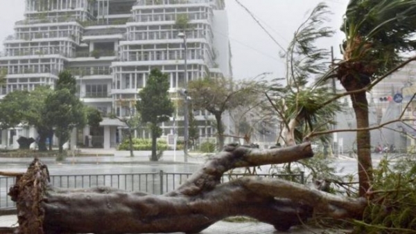 Тайфун «Тапа» обрушился на Окинаву: 12 человек ранены, 32 тыс. домов обесточены