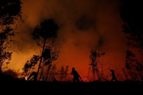 Лесные пожары в Индонезии заставили туристов массово отменить поездки