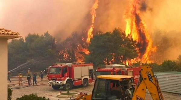 На греческом острове Закинф вспыхнули лесные пожары
