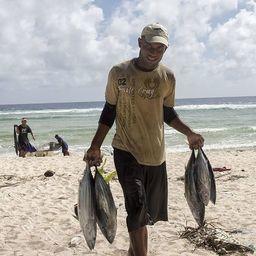 ООН предупреждает «рыбные» страны о климатической угрозе