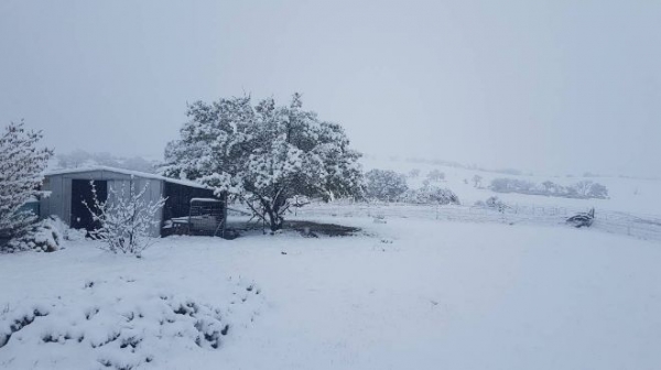 В Австралии внезапно выпал снег наутро после дня с температурой +25°С