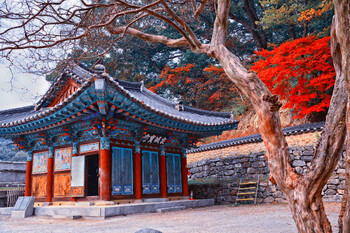 Южная Корея ждёт туристов в сезон «танпхун»  