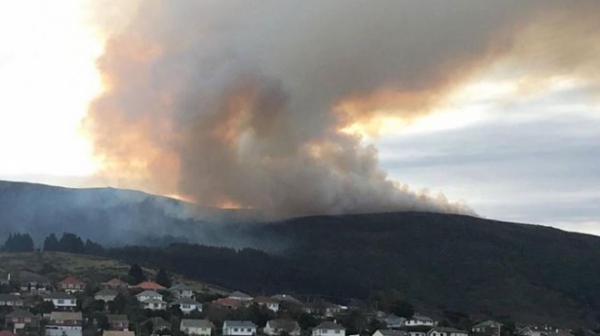 Пожар в Новой Зеландии охватил 12 га леса