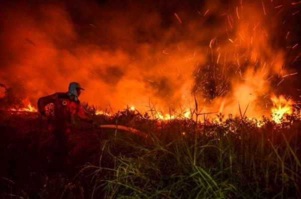 В Индонезии за сутки удвоилось число лесных пожаров
