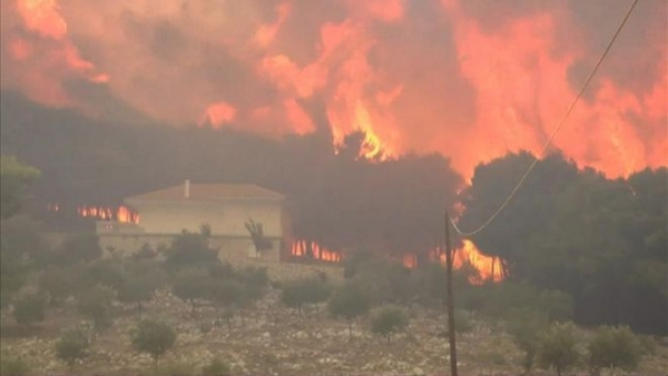 На греческом острове Закинф вспыхнули лесные пожары